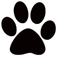 Le cabinet vétérinaire